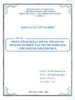 Phân tích hoạt động tín dụng doanh nghiệp tại Techcombank chi nhánh Khánh Hòa