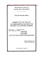 Nghiên cứu các yếu tố tác động đến sự gắn kết với tổ chức của người lao động