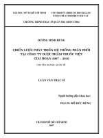 Chiến lược phát triển hệ thống phân phối tại Công ty dược phẩm thuốc Việt giai đoạn 2007 đến 2010