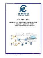 mạng truyền số liệu công cộng chuyển mạch gói – pspdn( packet switch public data network  )