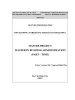 Developing marketing strategy for Jemma