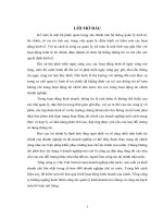 Kiểm tra và phân tích báo cáo tài chính tại tổng công ty chè Việt nam