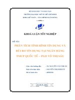 Phân tích tình hình tín dụng và rủi ro tín dụng tại ngân hàng TMCP Quốc Tế Phòng giao dịch Võ Thị Sáu