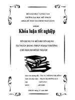 Tín dụng và rủi ro tại Ngân hàng TMCP ngoại thương chi nhánh Bình Thạnh