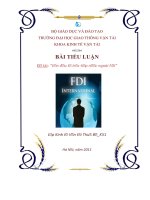 Tiểu luận vốn đầu tư trực tiếp nước ngoài FDI   luận văn, đồ án, đề tài tốt nghiệp