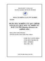 Bước đầu nghiên cứu quy trình sản xuất chất màu tự nhiên từ bắp cải tím (Brassica oleracea var captitala ruba)