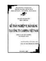 Kế toán nghiệp vụ bán hàng tại Công ty Campina Việt Nam