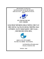Giải pháp mở rộng hoạt động cho vay tiêu dùng tại ngân hàng thương mại cổ phần xuất nhập khẩu Việt Nam Chi nhánh Cộng Hòa