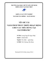 Giải pháp phát triển hoạt động cho vay tiêu dùng tại Sacombank