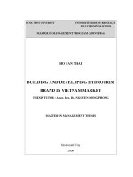 Building and developing hydrotrim brand in Vietnam market