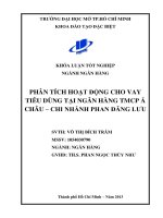 Phân tích hoạt động cho vay tiêu dùng tại ngân hàng TMCP Á Châu Chi nhánh Phan Đăng Lưu