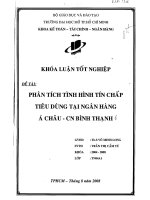 Phân tích tình hình tín chấp tiêu dùng tại ngân hàng Á Châu chi nhánh Bình Thạnh
