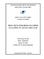 Phân tích tình hình tài chính của công ty APAVE Việt Nam