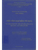Phân tích hoạt động tín dụng tại Ngân hàng phát triển nhà đồng bằng sông Cửu Long Chi nhánh Sài Gòn