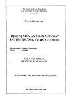 Định vị viên an thần Minosa tại thị trường thành phố Hồ Chí Minh