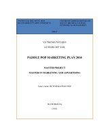 Paddle pop marketing plan 2014