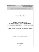 Marketing strategy for FDI consulting services of investconsult group HCM branch
