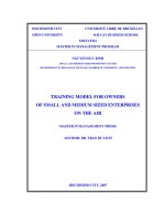 Training model for owners of small and medium sized enterprises on the air