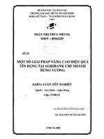 Một số giải pháp nâng cao hiệu quả tín dụng tại Agribank chi nhánh Hùng Vương