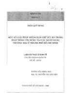 Một số giải pháp nhằm hạn chế rủi ro trong hoạt động tín dụng tại các ngân hàng thương mại ở Thành phố Hồ Chí Minh