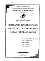 Giải pháp mở rộng tín dụng đối với DNVVN tại ngân hàng TMCP Á Châu Chi nhánh Sài Gòn