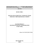 Integrated marketing communications strategy for Nghi Son bag cement