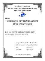 Nghiên cứu quy trình sản xuất rượu vang từ xoài