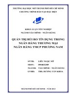 Quản trị rủi ro tín dụng trong ngân hàng thương mại Ngân hàng TMCP Phương Nam