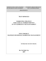 Marketing strategy for clinical express service in TNT express in Vietnam market