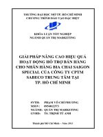 Giải pháp nâng cao hiệu quả hoạt động hỗ trợ bán hàng cho nhãn hàng bia chai Saigon special của Công ty CPTM Sebeco trung tâm tại Tp. Hồ Chí Minh