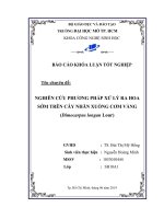 Nghiên cứu phương pháp xử lý ra hoa sớm trên cây nhãn xuồng cơm vàng (Dimocarpus longan lour).