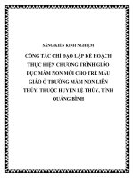 skkn công tác chỉ đạo lập kế hoạch thực hiện chương trình giáo dục mầm non mới cho trẻ mẫu giáo ở trường mầm non liên thủy, thuộc huyện lệ thủy, tỉnh quảng bình