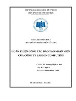TIỂU LUẬN MÔN HỌC THAY ĐỔI VÀ PHÁT TRIỂN TỔ CHỨC HOÀN THIỆN CÔNG TÁC ĐÀO TẠO NHÂN VIÊN  CỦA CÔNG TY LARION COMPUTING
