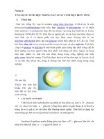 ỨNG DỤNG TINH BỘT TRONG SẢN XUẤT TINH BỘT BIẾN TÍNH