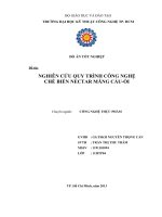 nghiên cứu quy trình công nghệ chế biến nectar mãng cầu - ổi