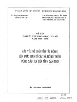 các yếu tố chủ yếu tác động lên mức sinh ở các xã nông thôn vùng sâu, xa của tỉnh cần thơ