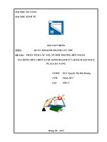 PHÂN TÍCH CÁC YẾU TỐ MÔI TRƯỜNG BÊN NGOÀI TÁC ĐỘNG ĐẾN CHIẾN LƯỢC KINH DOANH CỦA KHÁCH SẠN HAGL PLAZA DA NANG