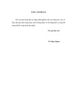 công nghệ thi công cọc đất-ximăng hợp lý để phòng chống trượt bờ sông khu vực thành phố hồ chí minh