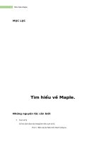 Tìm hiểu Maple Phần mềm hổ trợ làm toán