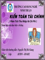 Bài thuyết trình kiểm toán tài chính