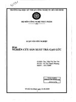 nghiên cứu sản xuất trà gạo lức