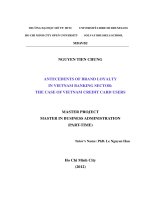 Antecedents of brand loyality in Vietnam banking sector.The case of Vietnam credit card users