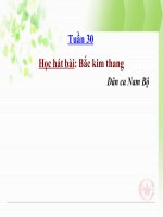 bài giảng âm nhạc 2 bài 30 học hát bắc kim thang