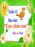 bài giảng âm nhạc 3 bài 12 học hát con chim non