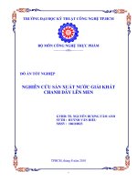 nghiên cứu sản xuất nước giải khát chanh dây lên men