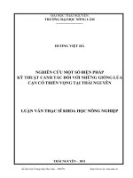 nghiên cứu một số biện pháp kỹ thuật canh tác đối với những giống lúa cạn có triển vọng tại thái nguyên