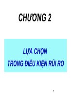 slide bài giảng kinh tế vi mô lựa chọn trong điều kiện rủi ro