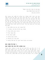 ôn tập kinh tế lượng căn bản