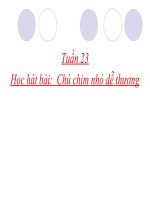 bài giảng âm nhạc 2 bài 23 học hát chú chim nhỏ dễ thương