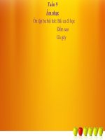 bài giảng âm nhạc 3 bài 9 ôn hát bài ca đi học. đếm sao. gà gáy